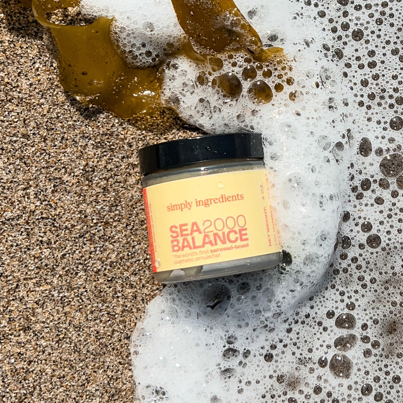 SeaBalance 2000 by Carbonwave