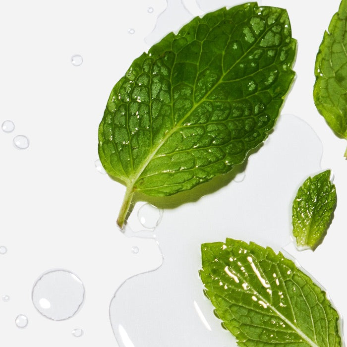 Rosemary Mint Fragrance - 100% Natural*