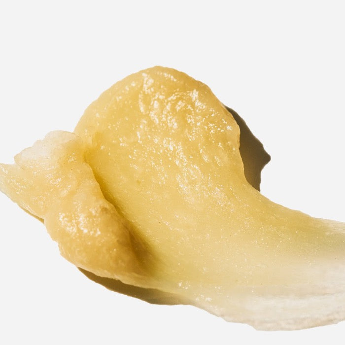 SeaBalance 2000 by Carbonwave