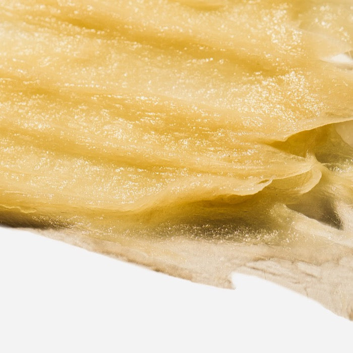 SeaBalance 2000 by Carbonwave