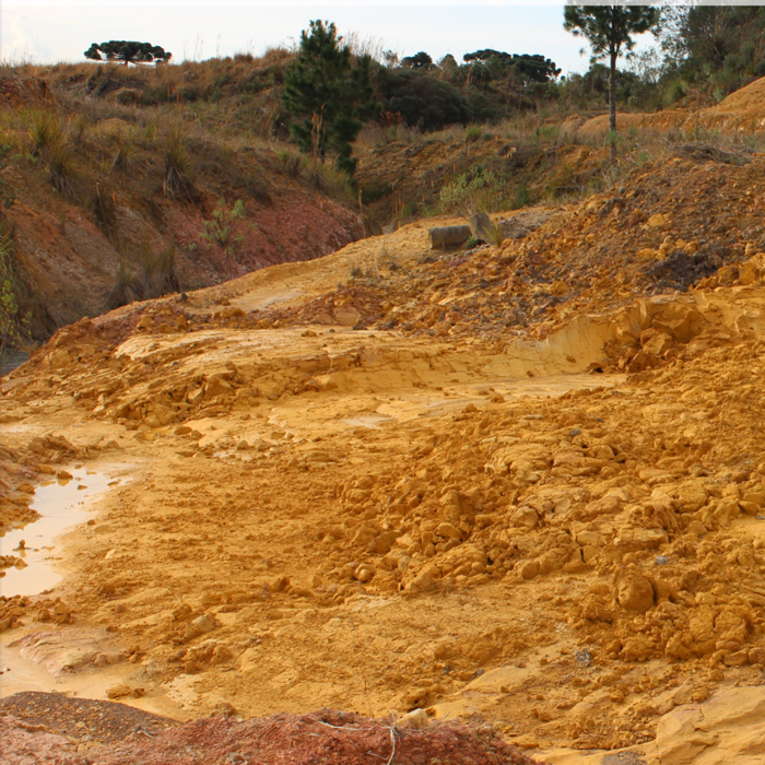 Brazil Clays™ Gold Earth (Kaolin)