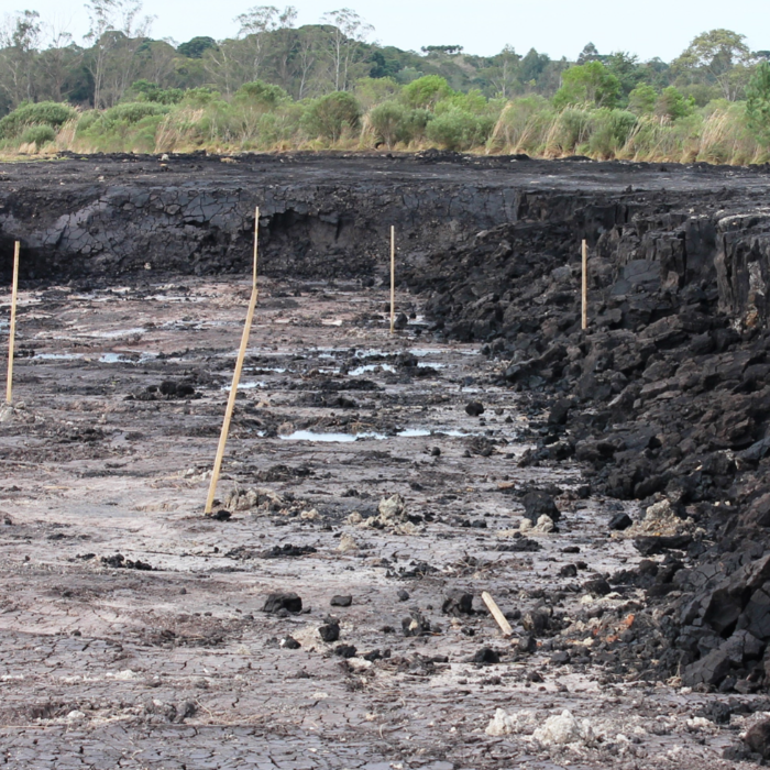 Brazil Clays™ Black Earth (Kaolin)